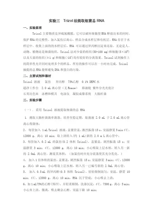 【精选】Trizol法提取细菌总RNA
