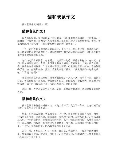猫和老鼠作文