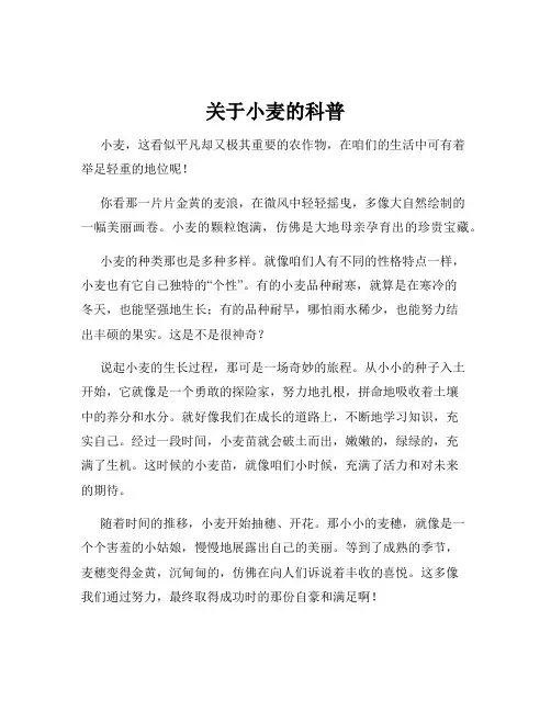 关于小麦的科普