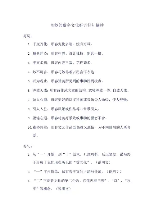 奇妙的数字文化好词好句摘抄