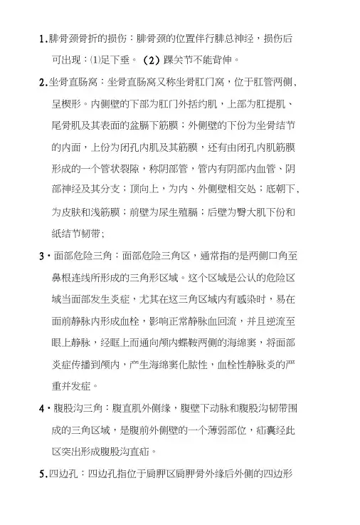 《局部解剖学》期末考试重点.doc