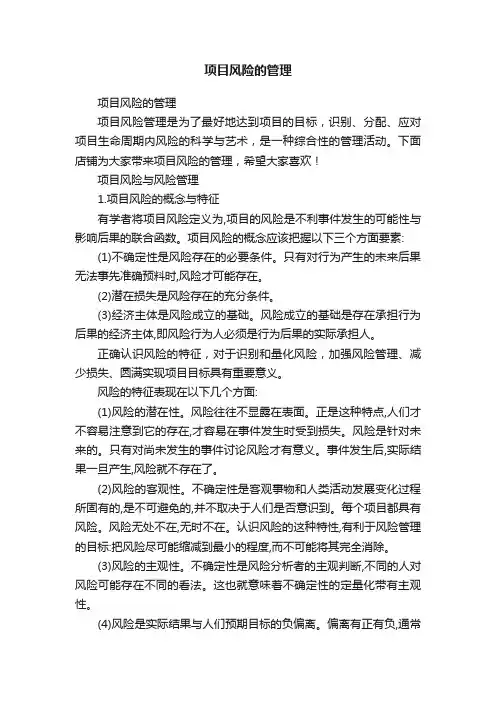 项目风险的管理