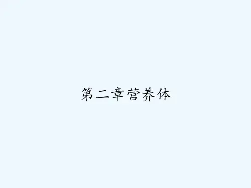 第二章营养体-PPT