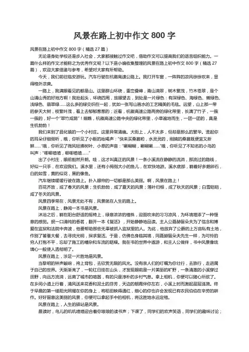 风景在路上初中作文800字（精选27篇）