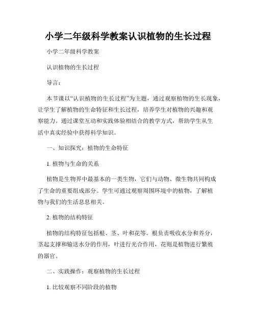 小学二年级科学教案认识植物的生长过程