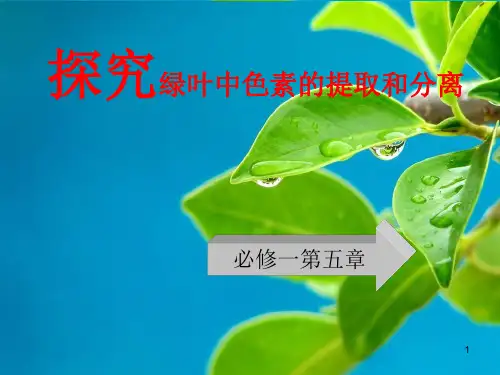 高中生物实验优质课说课终极版ppt课件