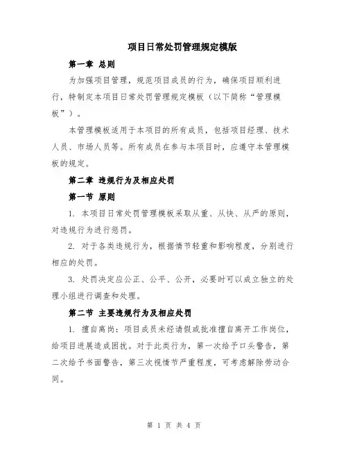 项目日常处罚管理规定模版