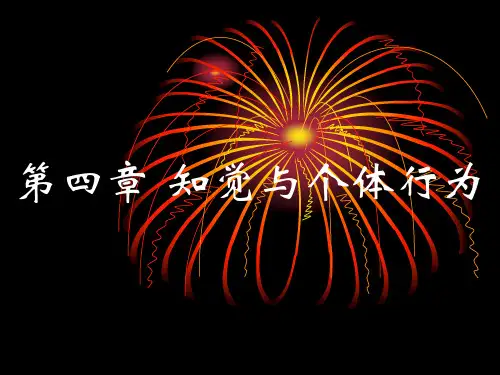 管理心理学《第四章知觉与个体行为》