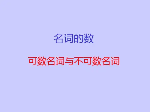 中考英语专题复习 可数名词与不可数名词(共23张)