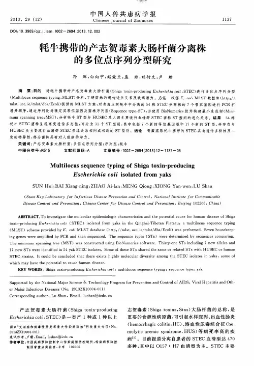 牦牛携带的产志贺毒素大肠杆菌分离株的多位点序列分型研究