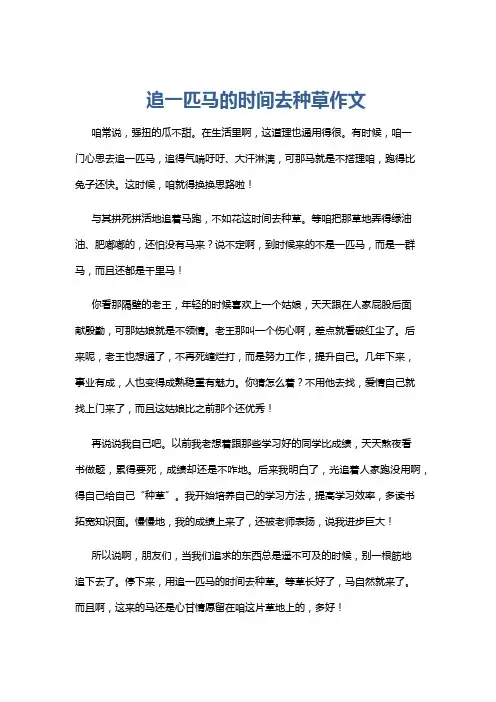 追一匹马的时间去种草作文
