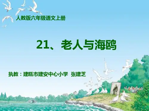 部编六年级上人教《21 老人与海鸥》张建芝PPT课件 一等奖新名师优质课获奖比赛公开免费下载