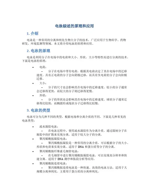 电泳综述的原理和应用