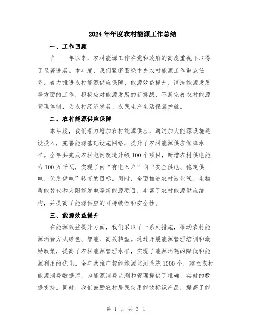 2024年年度农村能源工作总结