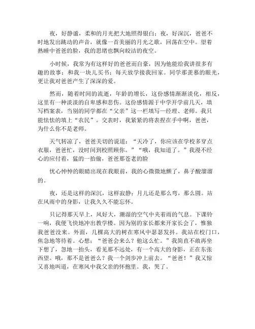 想起了爸爸苍老的脸作文800字