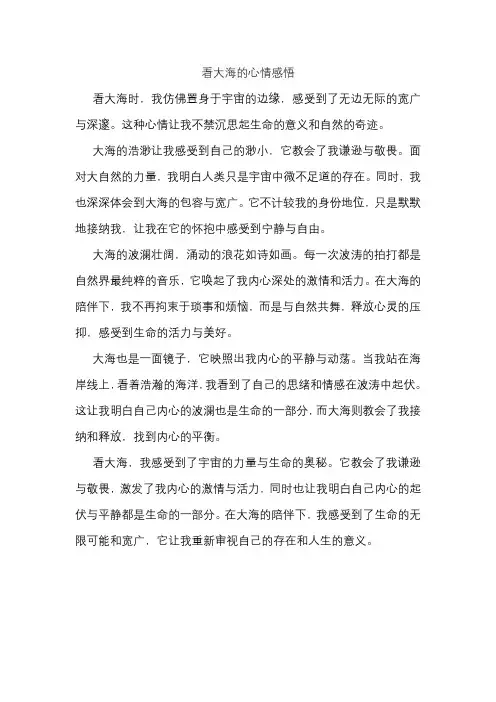 看大海的心情感悟