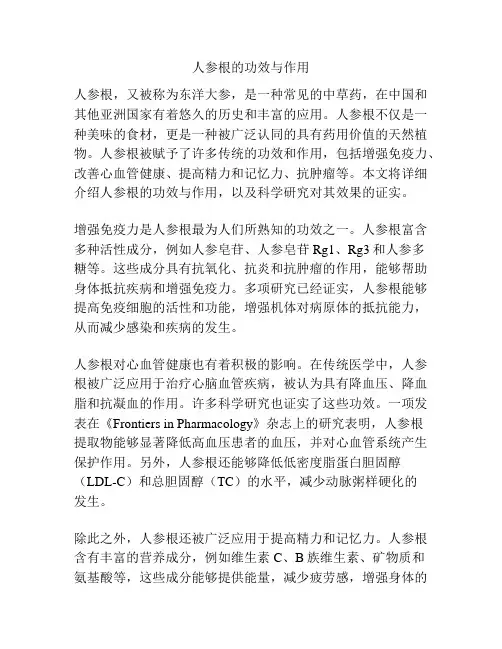 人参根的功效与作用