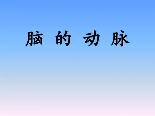 脑血管解剖新版本