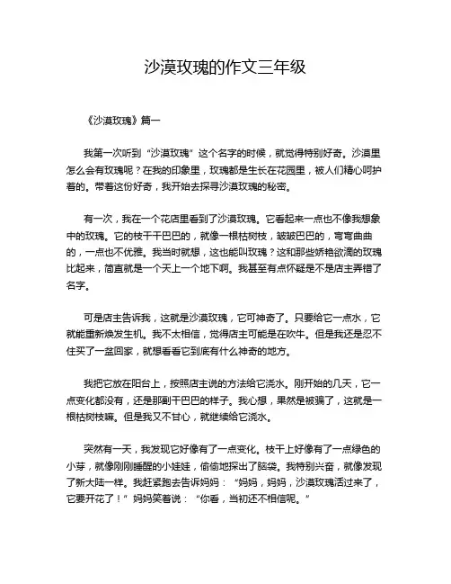 沙漠玫瑰的作文三年级
