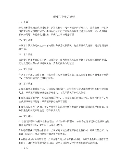 预算执行审计总结报告