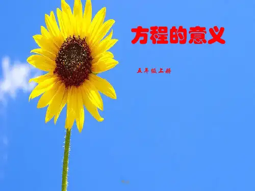 方程的意义(小学五年级数学)解读.ppt