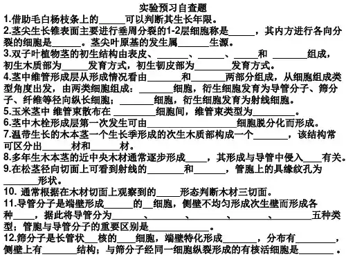 植物生物学实验：实验四茎的发育结构与生理功能