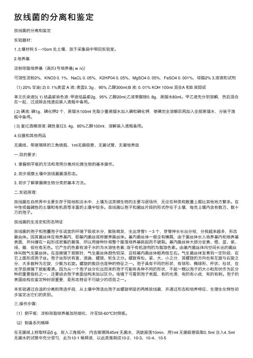 放线菌的分离和鉴定