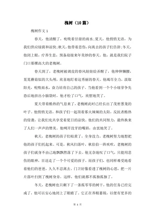 槐树(10篇)