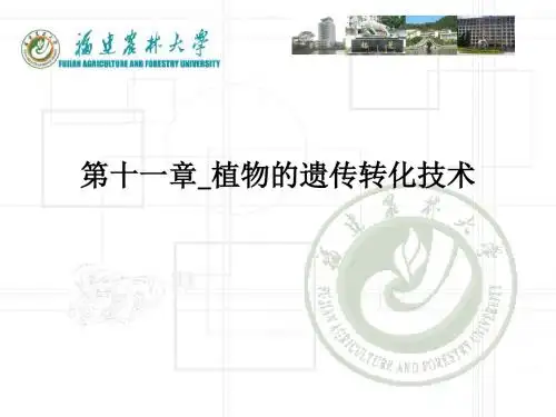 [医学]第十一章植物的遗传转化技术