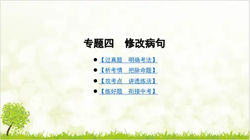 专题四 修改病句广东中考语文总复习课件