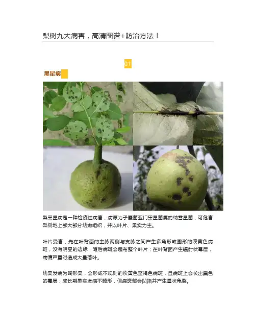  梨树九大病害,高清图谱+防治方法!