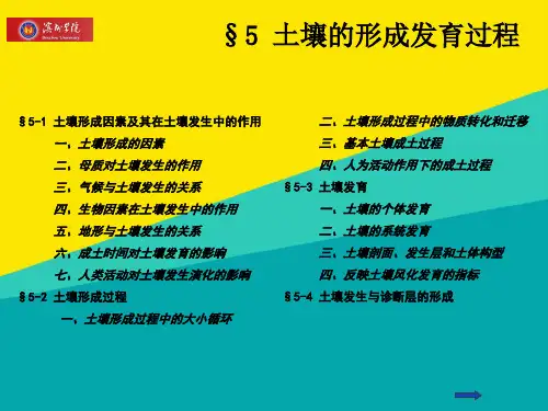 (优)土壤学第五章 土壤的形成发育过程ppt文档