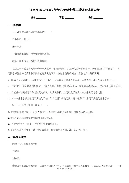 济南市2019-2020学年九年级中考二模语文试题A卷