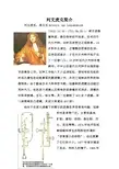 列文虎克简介