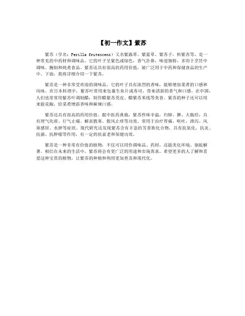 【初一作文】紫苏