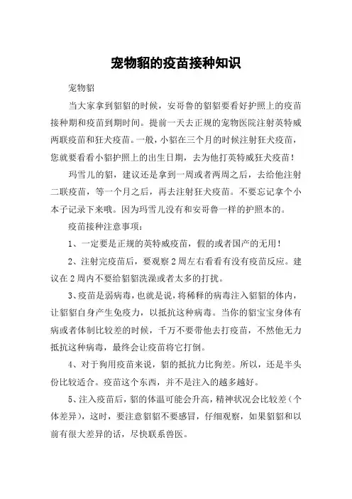 宠物貂的疫苗接种知识