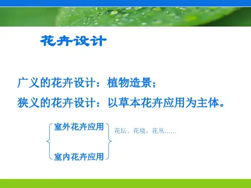 花卉租摆设计ppt课件