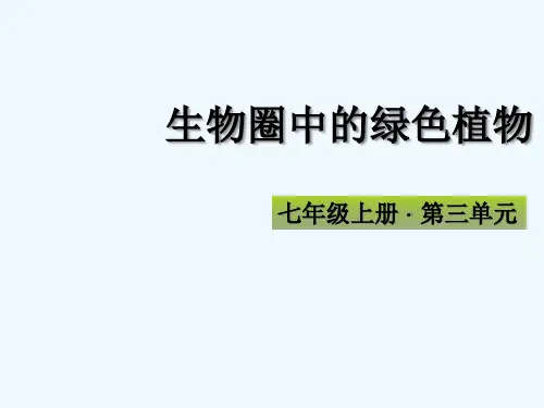 中考生物生物圈中的绿色植物复习课件
