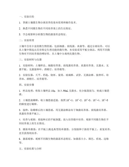 土壤分离培养实验报告