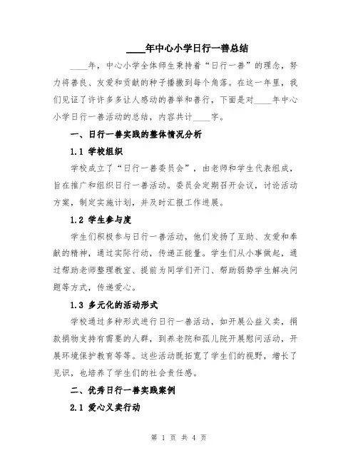 2024年中心小学日行一善总结
