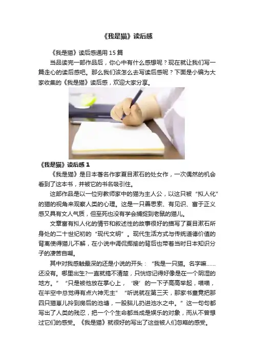 《我是猫》读后感