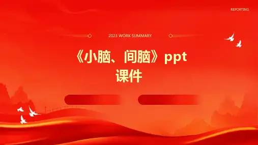 《小脑、间脑》课件