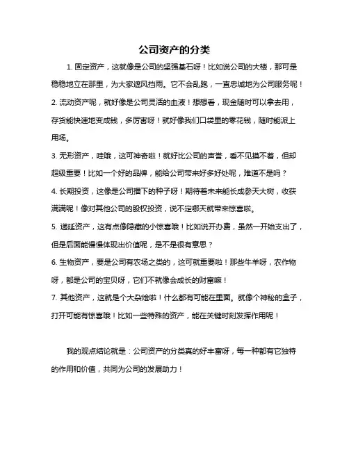 公司资产的分类