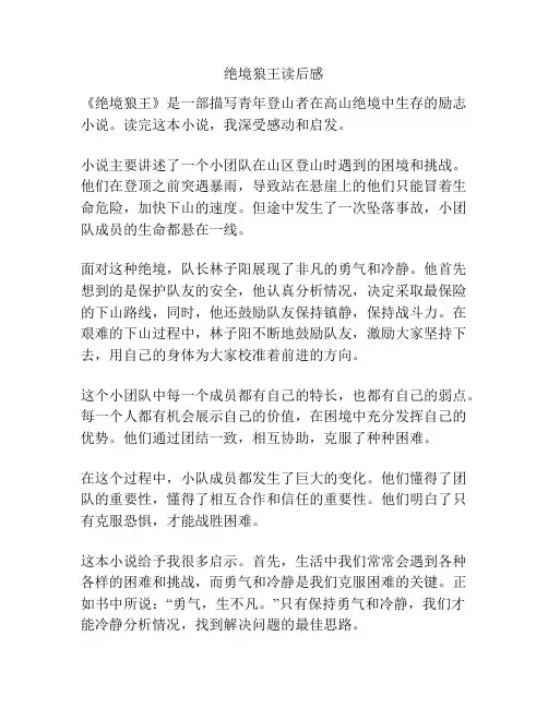 绝境狼王读后感
