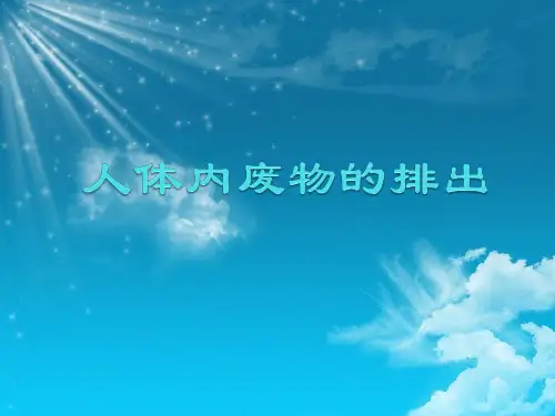 人体内废物的排出 课件