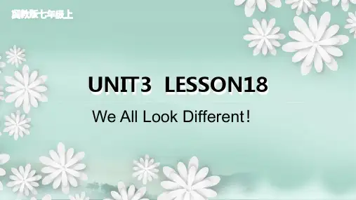 Unit 3 Lesson 18 We All Look Different!课件 2023-202