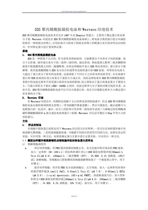 WB实验原理