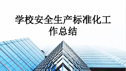 学校安全生产标准化工作总结