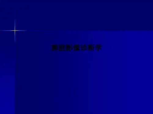 脾脏影像诊断学