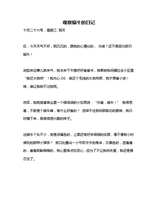 作文《观察蜗牛的日记》